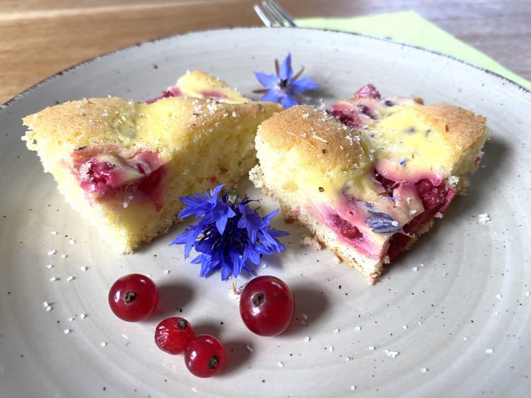 Topfengitterkuchen_August 2023 – Steirische Milchstrasse